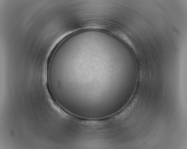 X0000113371132200909291045