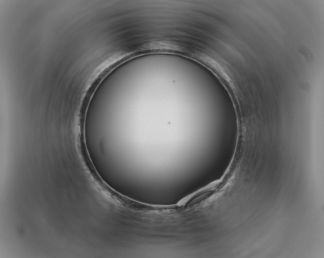 X0000113371133200909291045