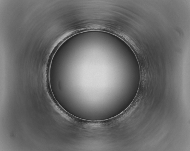 X0000113371134200909291045