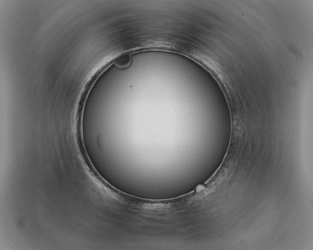 X0000113371135200909291045