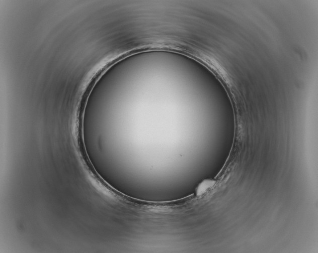 X0000113371136200909291045