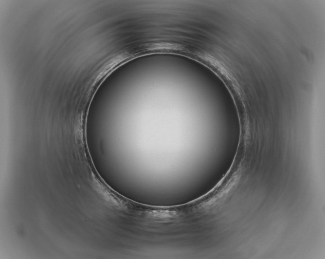 X0000113371137200909291045