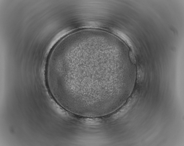 X0000113371138200909291045