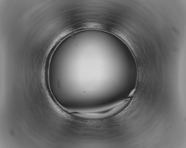 X0000113371139200909291045