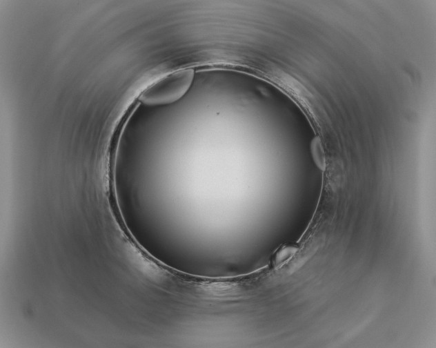 X0000113371140200909291045