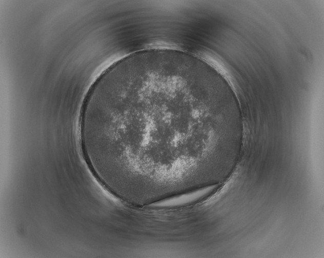 X0000113371141200909291045