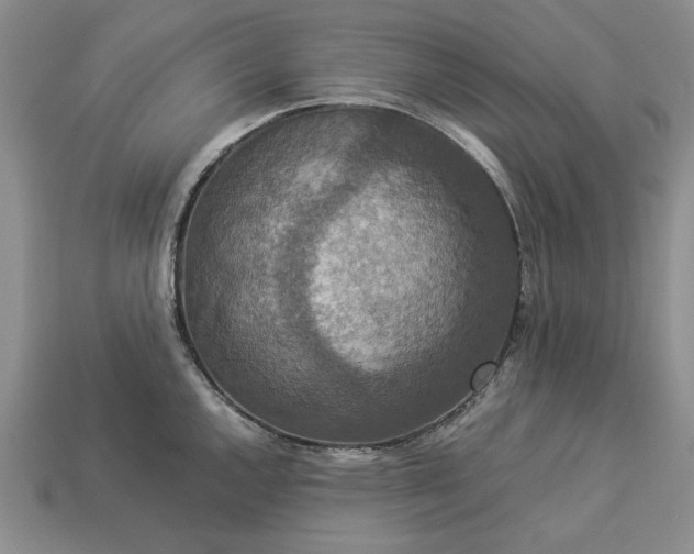 X0000113371144200909291045