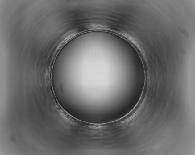 X0000113371145200909291045