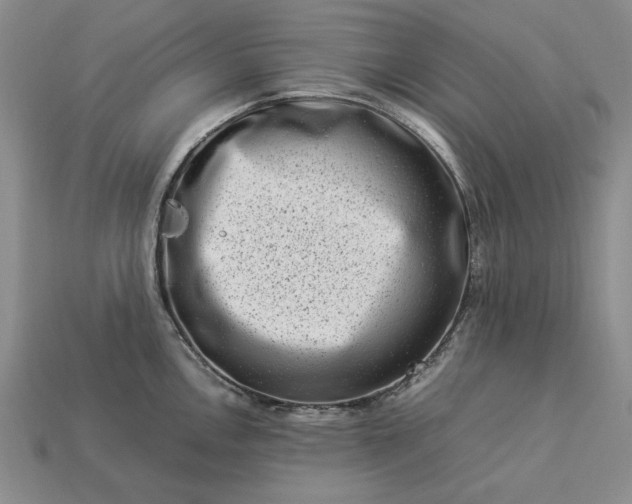 X0000113371146200909291045