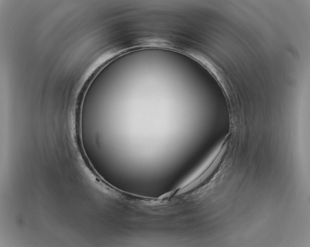 X0000113371147200909291045