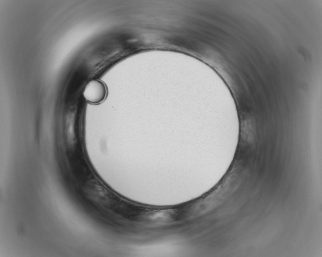 X0000113371150200909291046