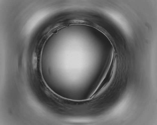 X0000113371151200909291046