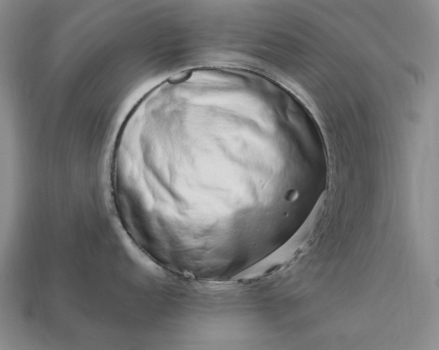 X0000113371152200909291046