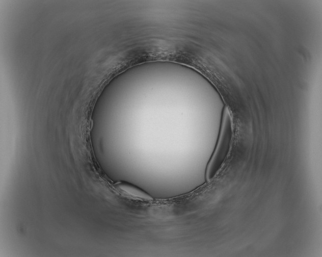 X0000113371153200909291045