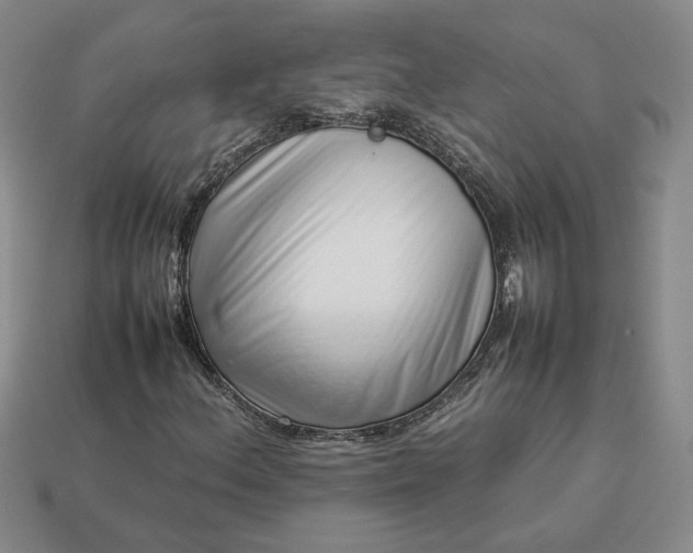 X0000113371156200909291045