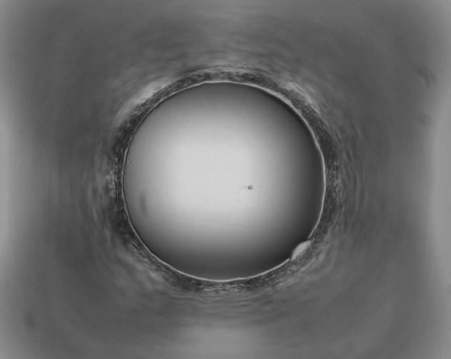 X0000113371159200909291045