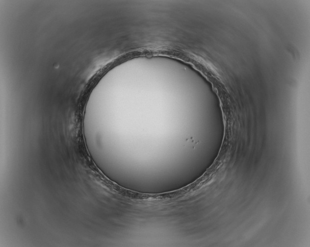 X0000113371160200909291045