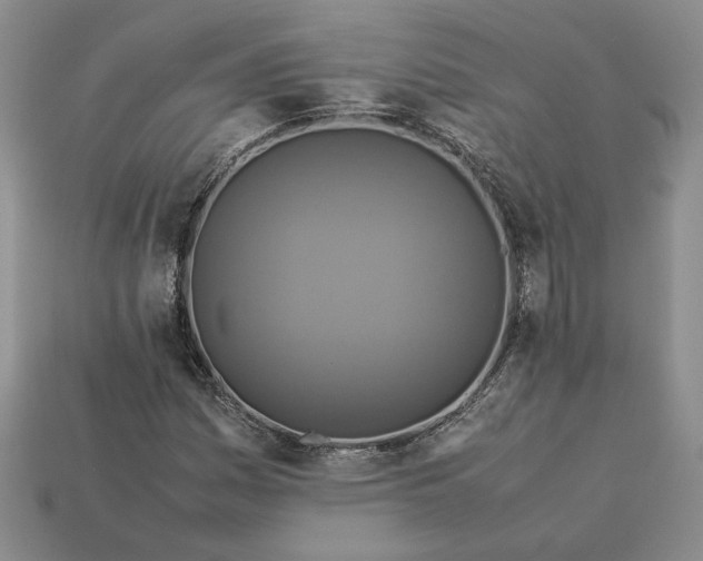 X0000113371161200909291045