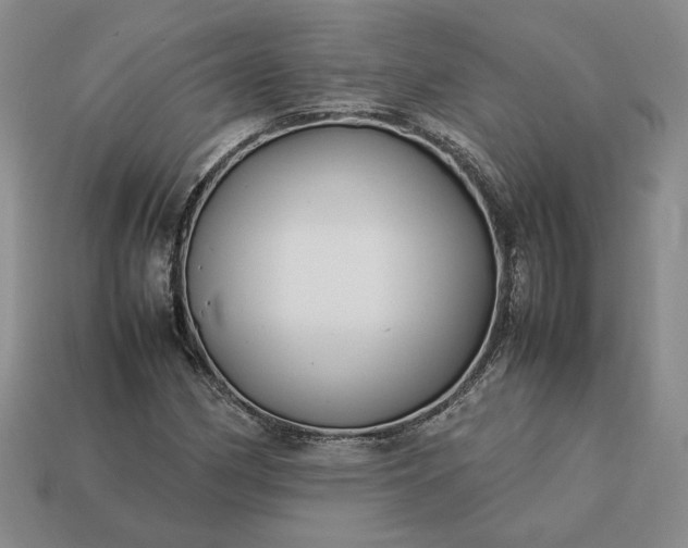 X0000113371162200909291045