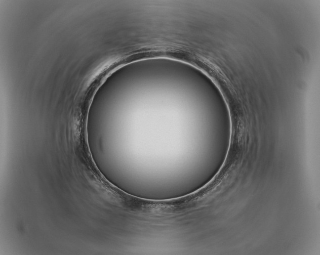 X0000113371163200909291045