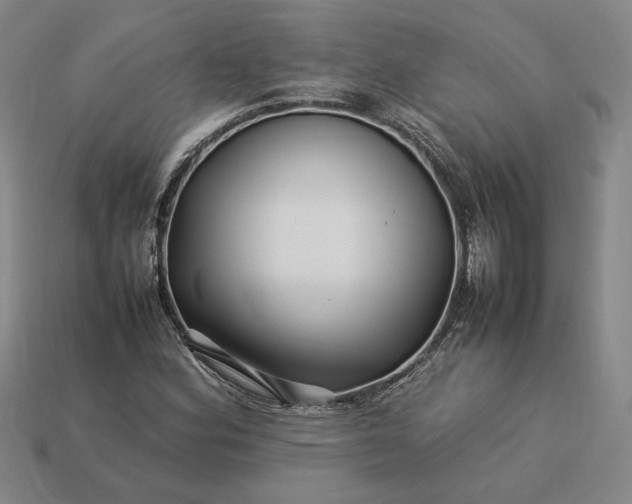 X0000113371164200909291045