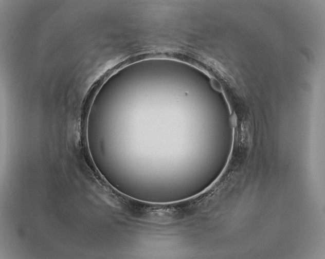 X0000113371165200909291045