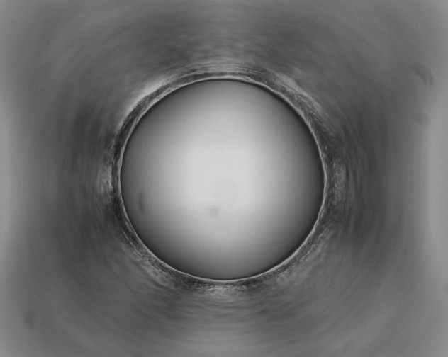 X0000113371166200909291045