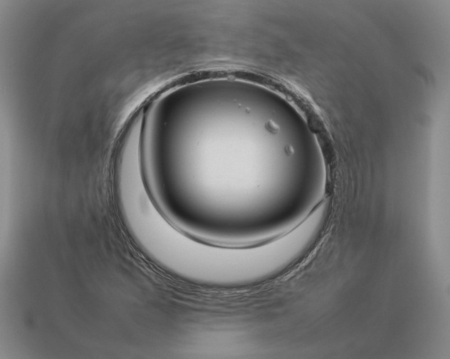 X0000113371167200909291045