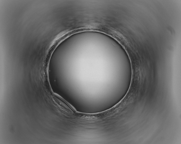 X0000113371168200909291045