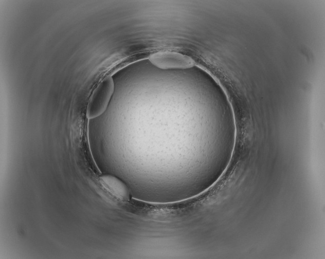 X0000113371169200909291045