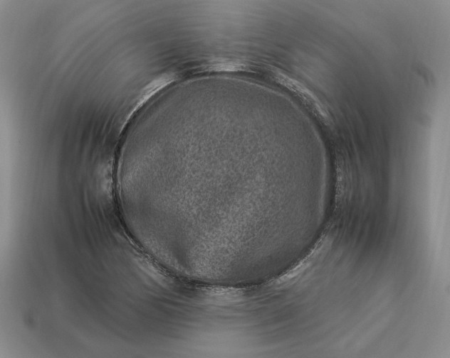 X0000113371170200909291045