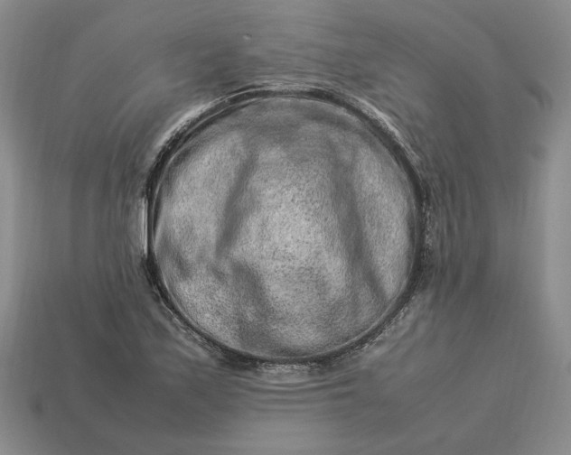 X0000113371171200909291045