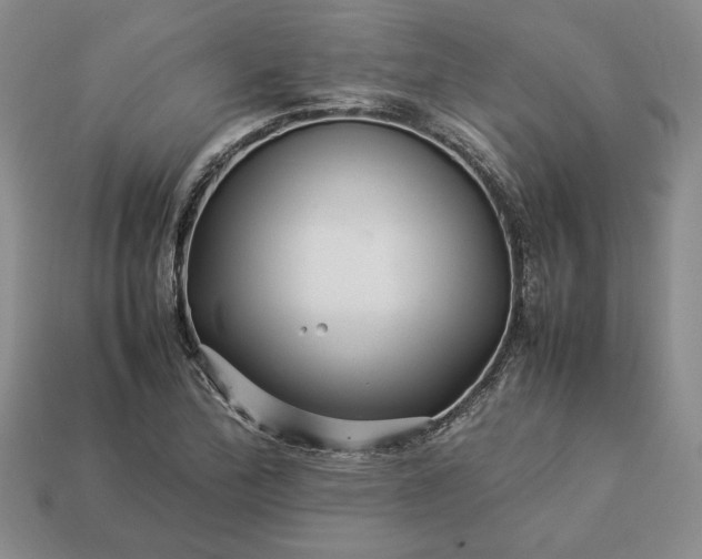 X0000113371172200909291044