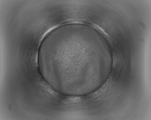 X0000113371174200909291044