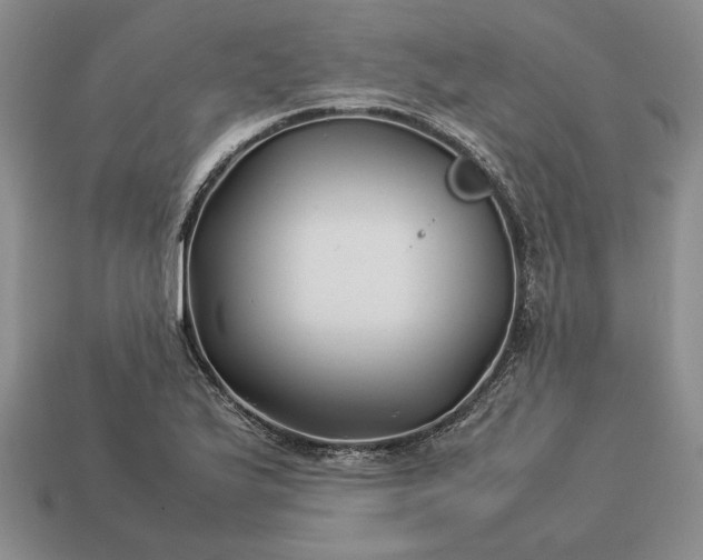 X0000113371175200909291044