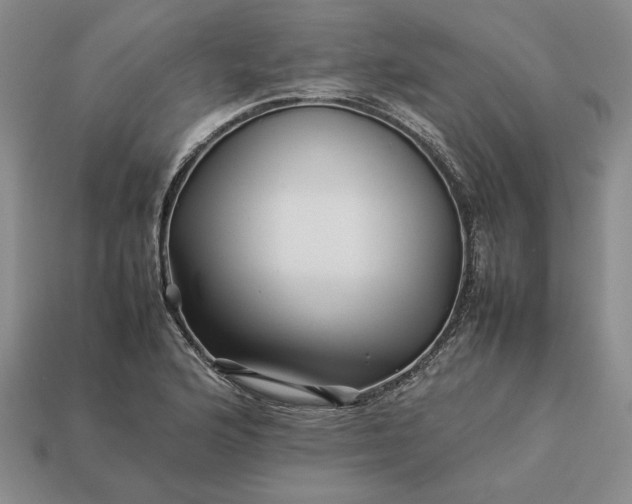 X0000113371176200909291044