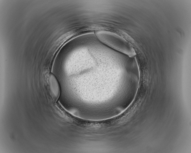 X0000113371177200909291044