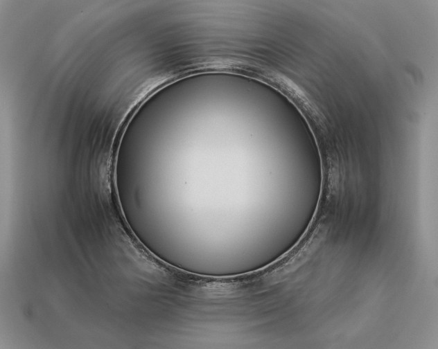 X0000113371178200909291044