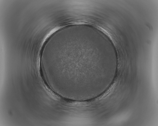 X0000113371179200909291044