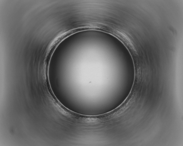 X0000113371180200909291044