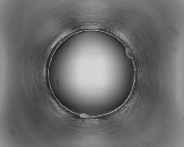 X0000113371181200909291044