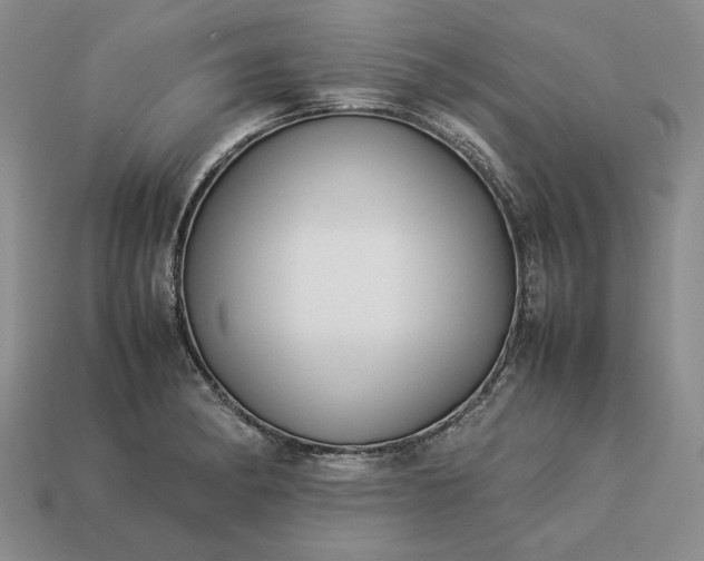 X0000113371182200909291044