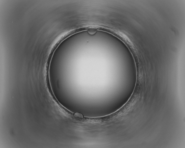 X0000113371183200909291044