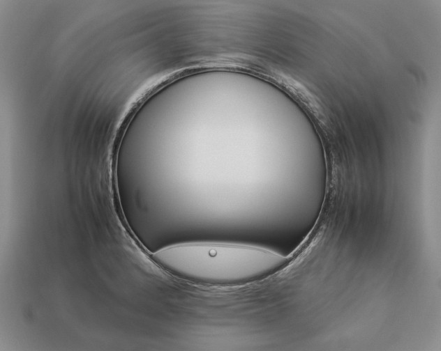 X0000113371184200909291044