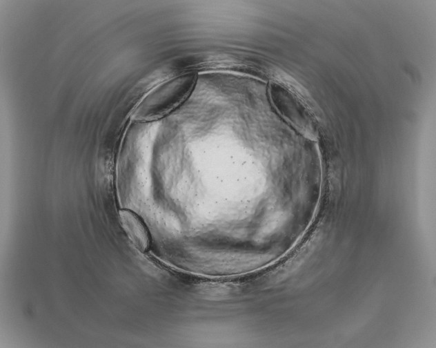 X0000113371185200909291044