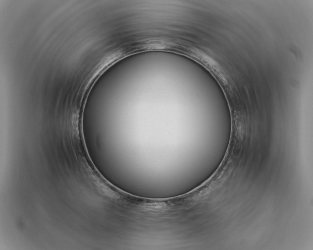 X0000113371186200909291044