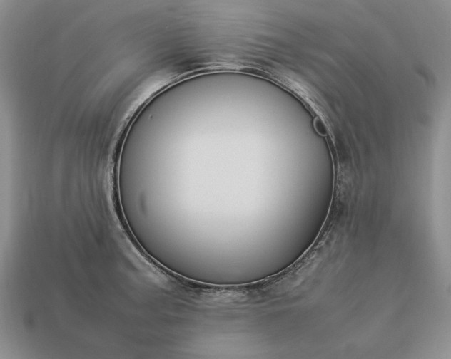 X0000113371187200909291044