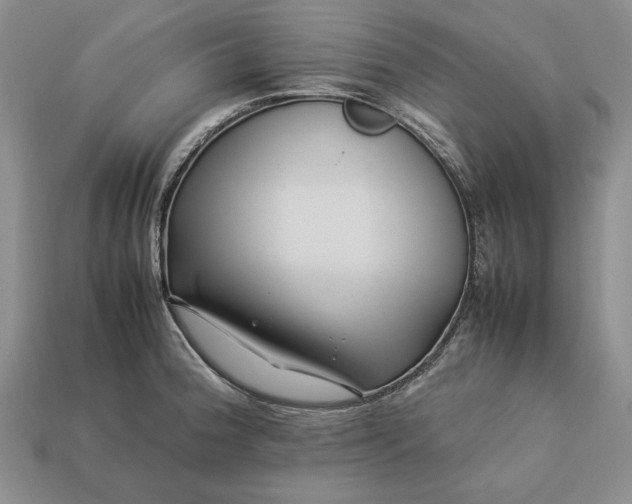 X0000113371188200909291044