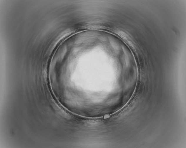 X0000113371189200909291044