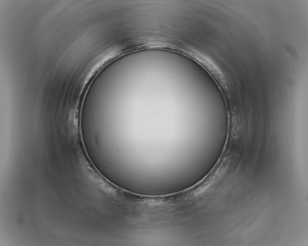 X0000113371190200909291044